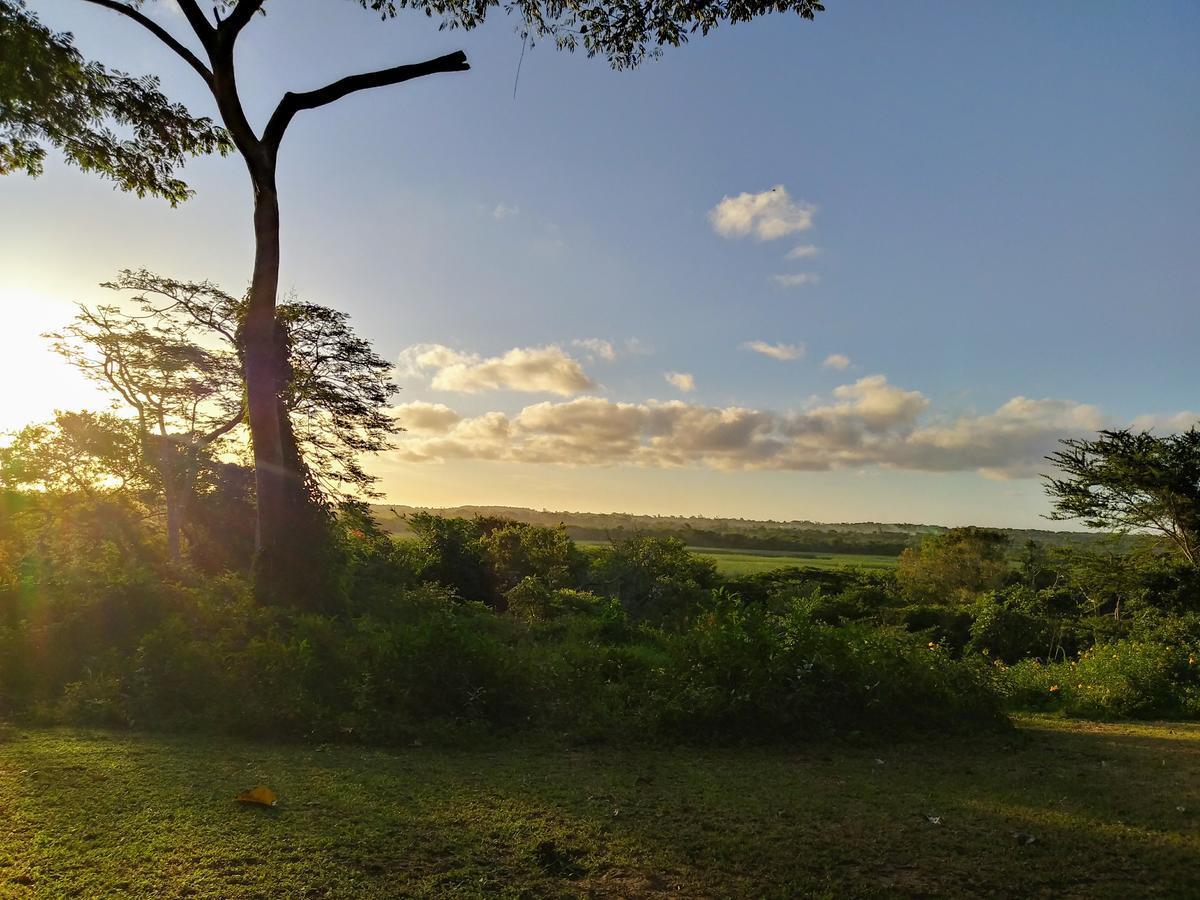 St Lucia Kingfisher Lodge מראה חיצוני תמונה