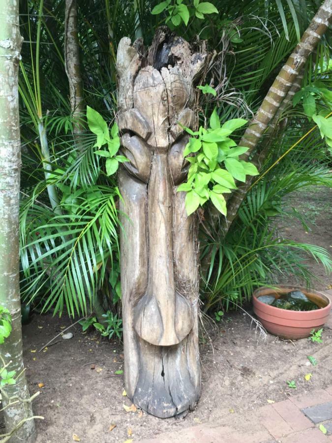 St Lucia Kingfisher Lodge מראה חיצוני תמונה
